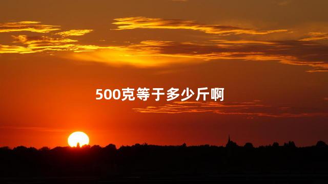 500克等于多少斤啊