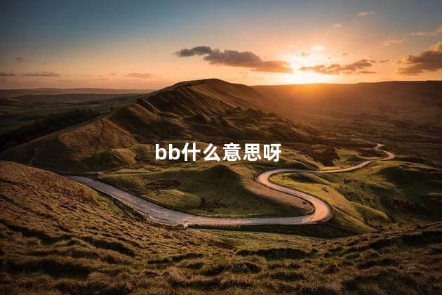 bb什么意思呀