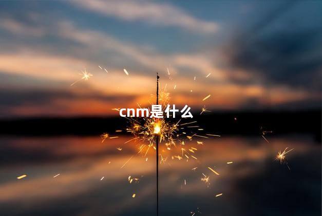 cnm是什么