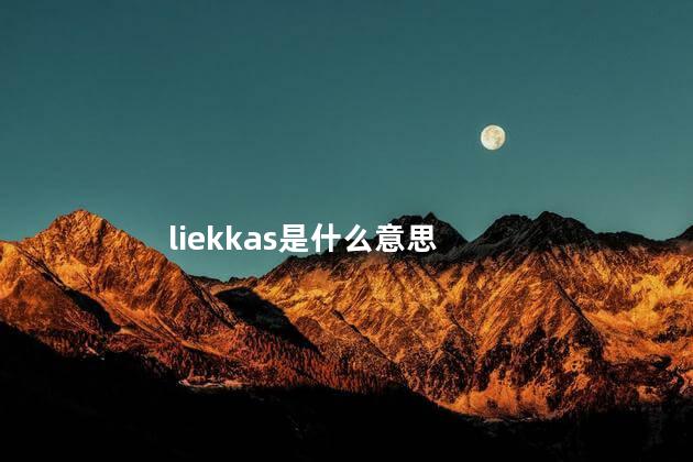 liekkas是什么意思