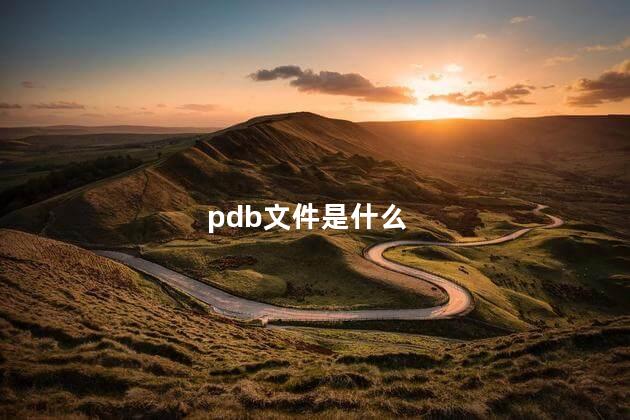 pdb文件是什么