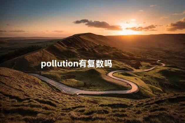 pollution有复数吗