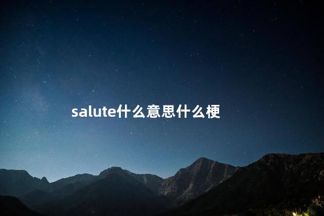 salute什么意思什么梗