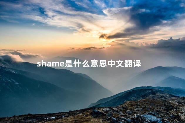 shame是什么意思中文翻译，shame的中文是什么