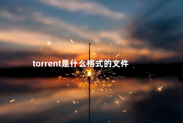 torrent是什么格式的文件