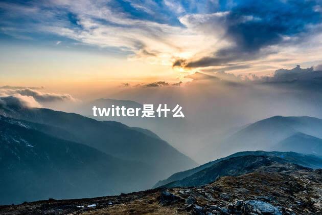 twitter是什么