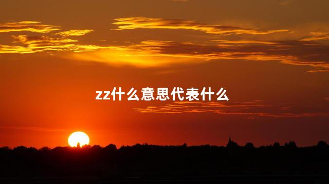 zz什么意思代表什么