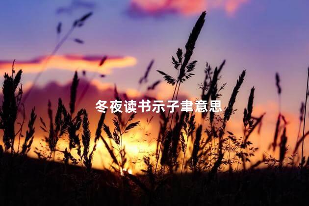 冬夜读书示子聿意思