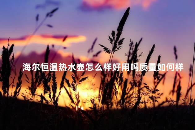 海尔恒温热水壶怎么样好用吗质量如何样，海尔的恒温壶怎么样