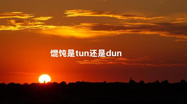 馄饨是tun还是dun新华字典，馄饨是tun还是d