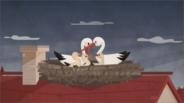 一对白鹤的爱情故事