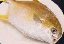 金鲳鱼多少钱一斤,金鲳鱼怎样能去腥味做好吃