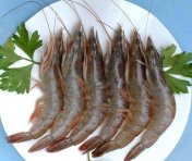 白对虾、基围虾和明虾区别图,三种不一同种类的虾