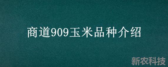 商道909玉米品种介绍先锋909玉米品种介绍