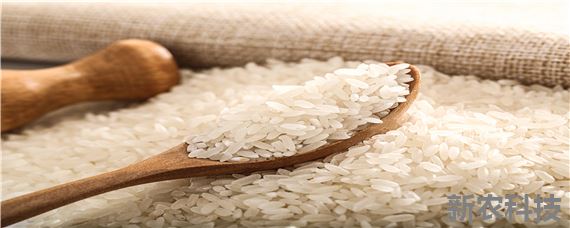 大米种植过程注意事项 大米的种植过程有哪几步