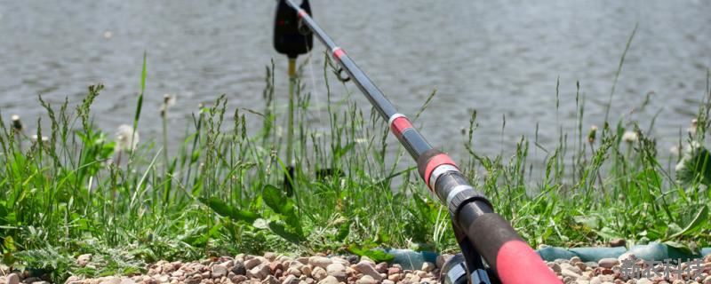 初学钓鱼如何选择鱼竿长度 怎么选择钓鱼竿长度