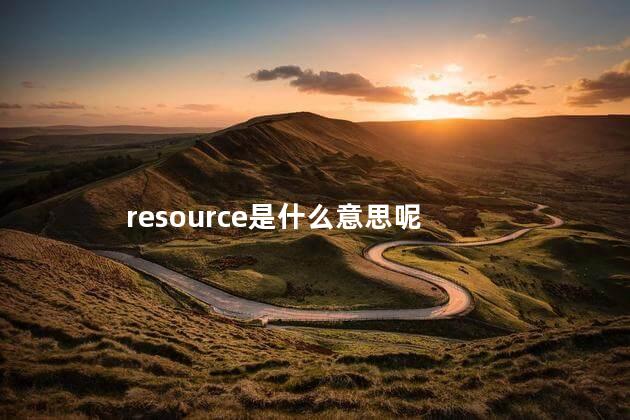 resource是什么意思呢
