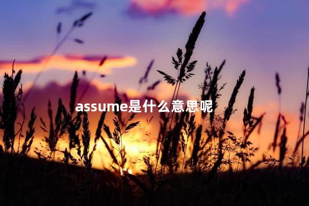 assume是什么意思呢