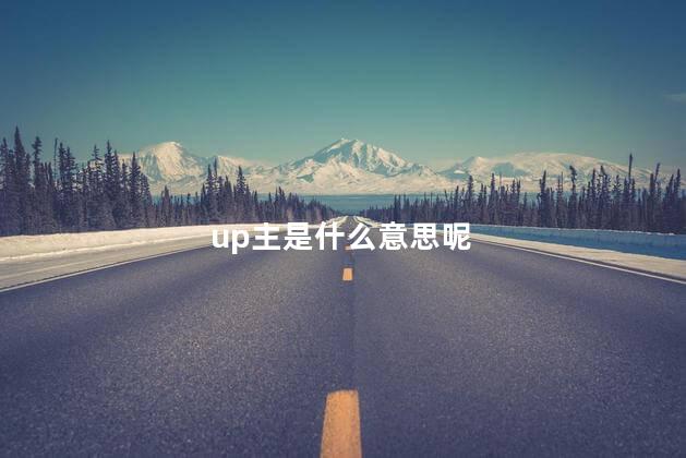 up主是什么意思呢