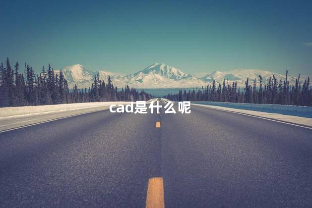 cad是什么呢