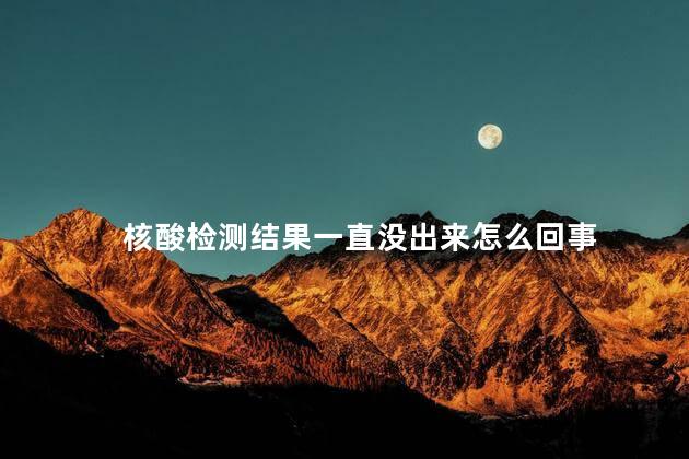 核酸检测结果一直没出来怎么回事