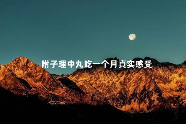 附子理中丸吃一个月真实感受