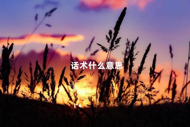 话术什么意思