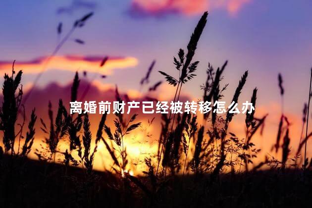 离婚前财产已经被转移怎么办