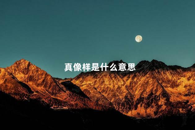 真像样是什么意思