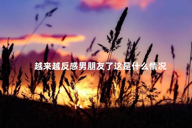 越来越反感男朋友了这是什么情况